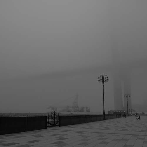 Photo #13366432