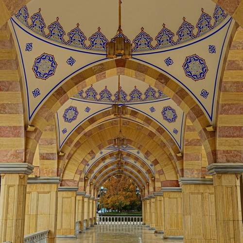 Photo #13366463
