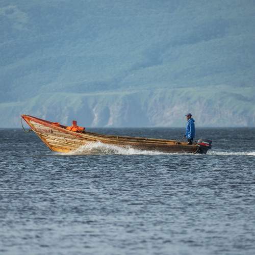 Photo #13366473