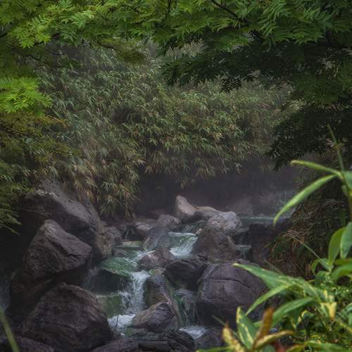 Photo #13366481