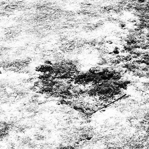 Photo #13366512