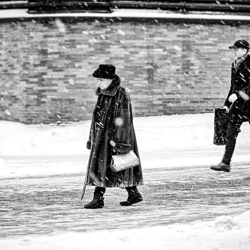 Photo #13366679