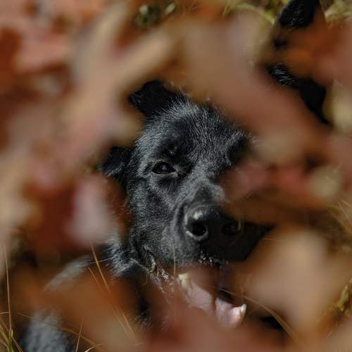 Photo #13366782
