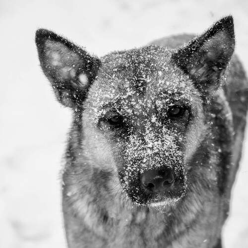 Photo #13366813