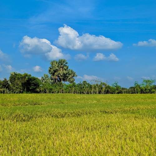 The charming countryside