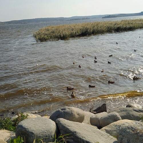 Photo #13366839