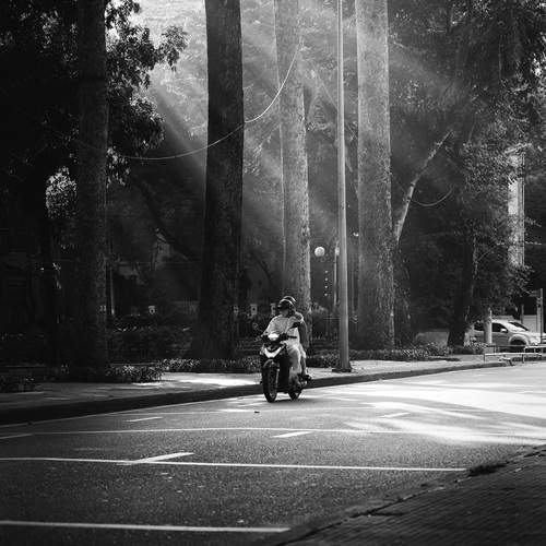 Morning of New Beginnings