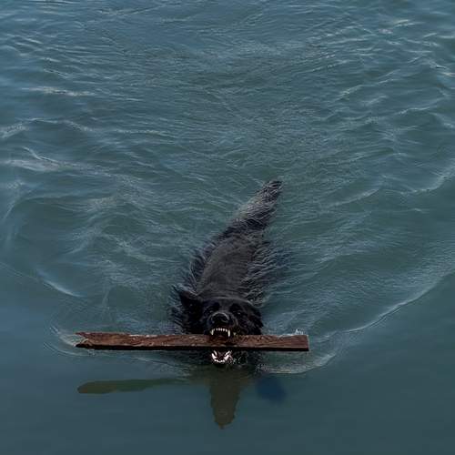 Photo #13366994