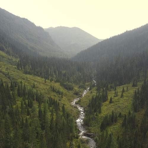 Photo #13367208