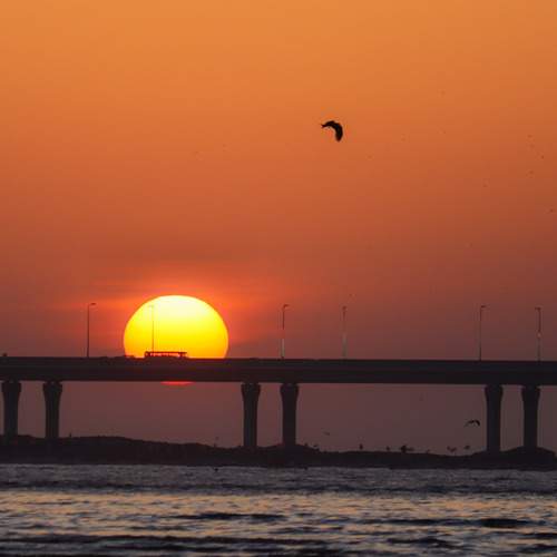 Photo #13367214