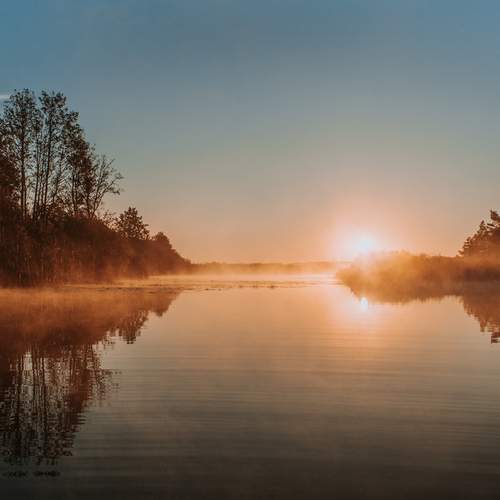 Photo #13367312