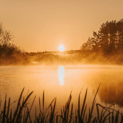 Photo #13367313