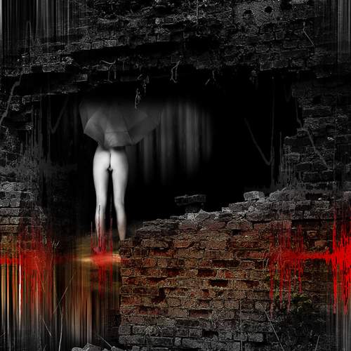 Photo #13367549