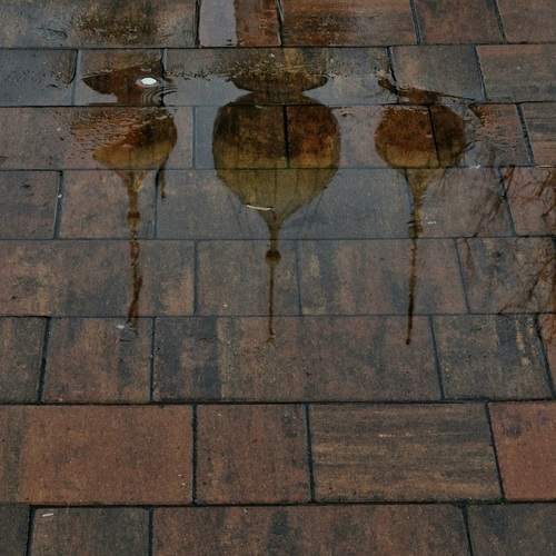 Photo #13367578