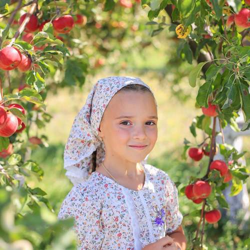 Photo #13367599