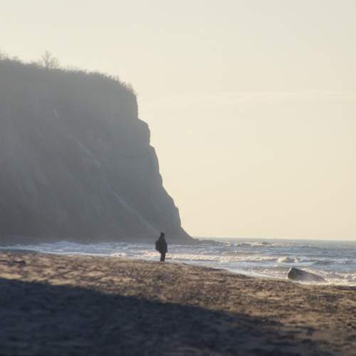 Photo #13367692
