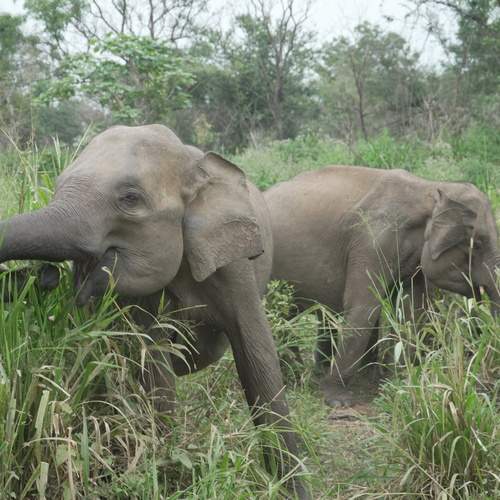 Photo #13367845