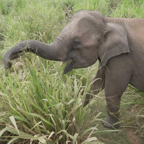 Photo #13367892