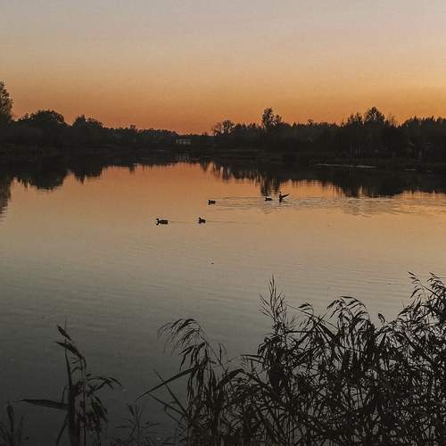 Photo #13367893