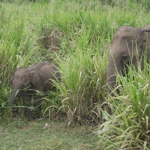 Photo #13367897