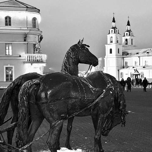 Photo #13367942