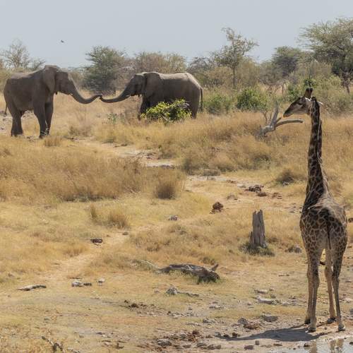 Photo #13367965