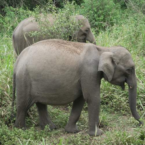 Photo #13368088