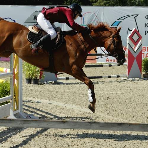 Photo #13368140