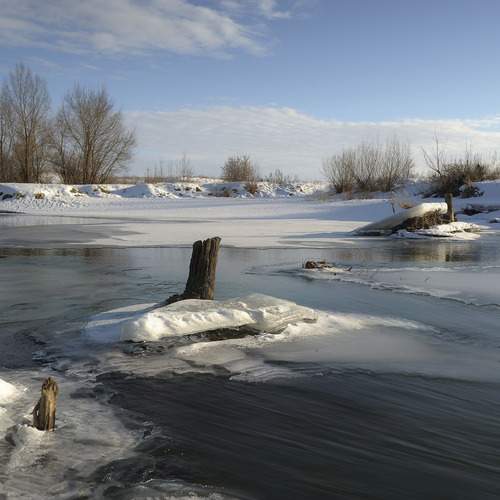 Photo #13368214