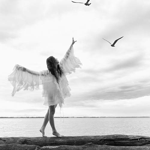 Birdy