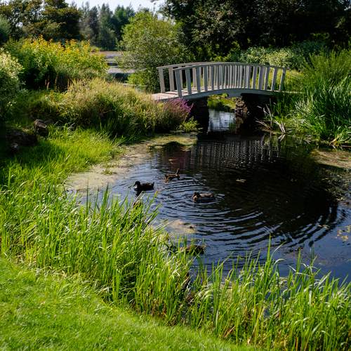 Фотография #13368386