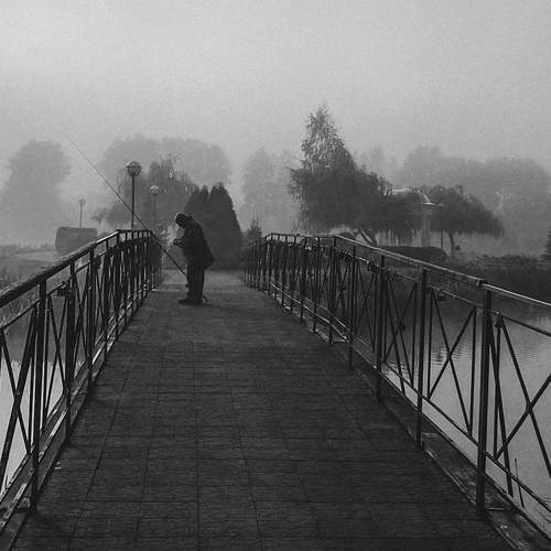 Photo #13368446