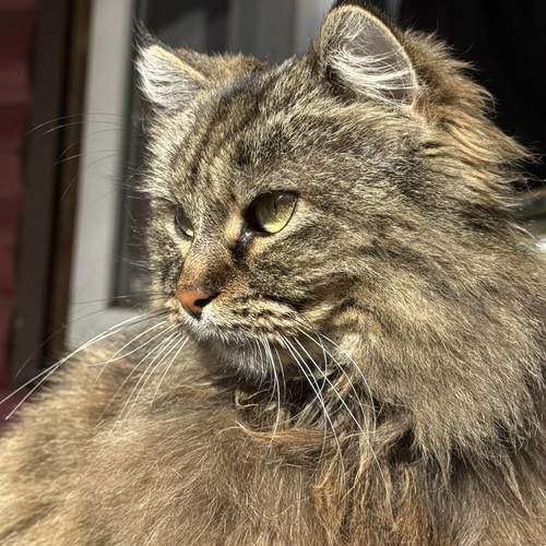 Photo #13368498