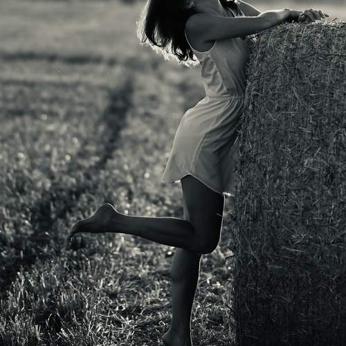 Photo #13368519