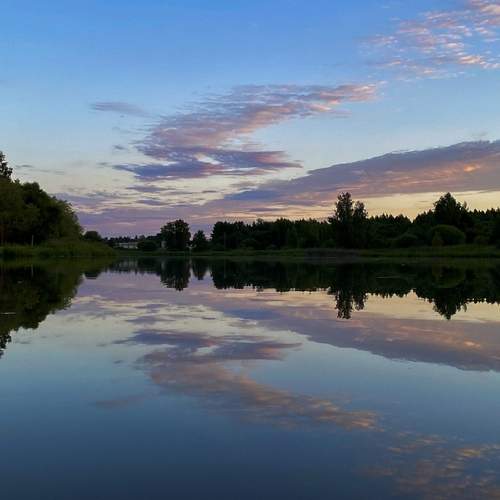 Photo #13368613