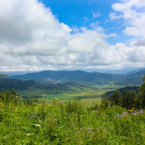 Photo #13368633