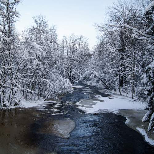 Photo #13368822