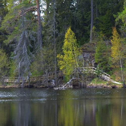 Photo #13368865