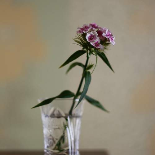 Photo #13368887