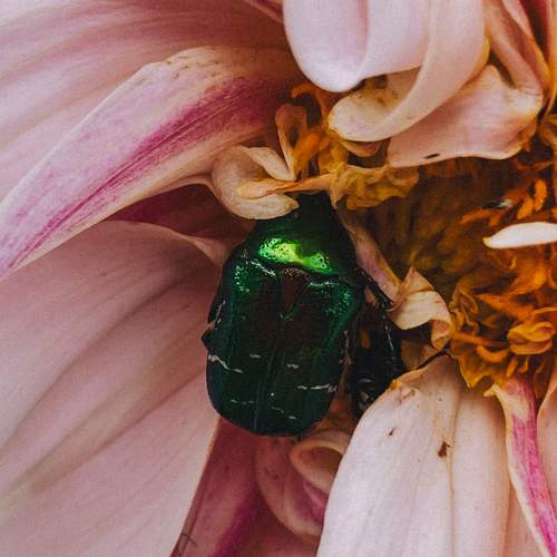 Photo #13368916