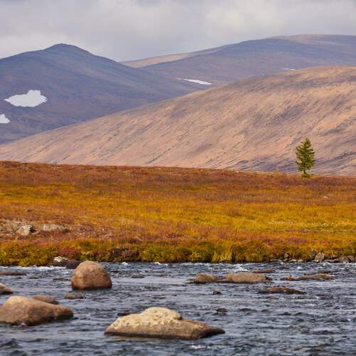Photo #13368960