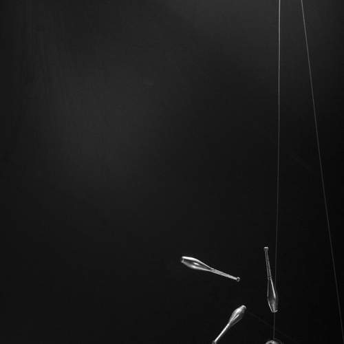 Photo #13368967