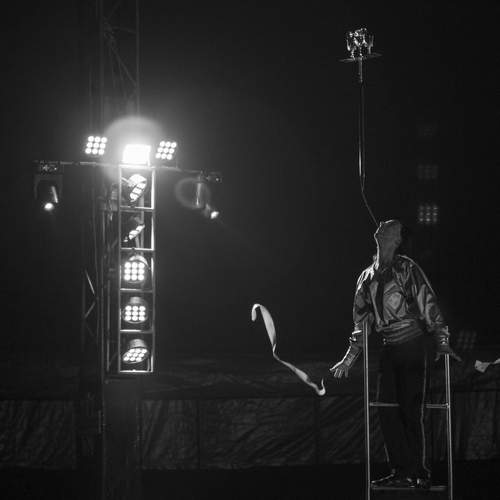 Photo #13368973