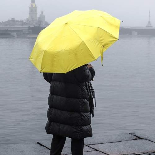 Photo #13369024