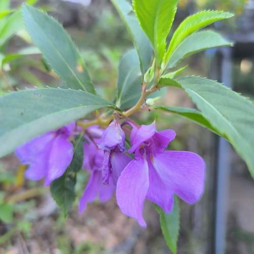 Photo #13369115