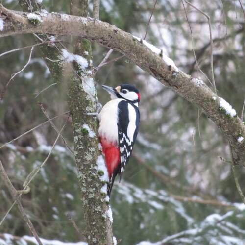 Photo #13369254