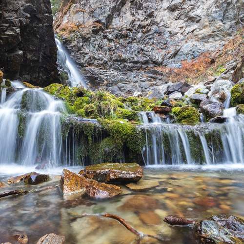 Photo #13369306