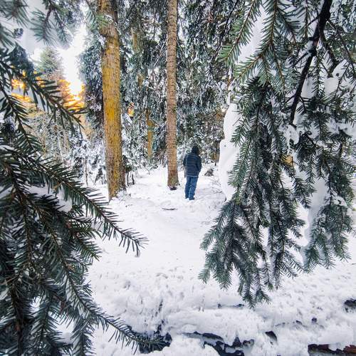 Photo #13369355