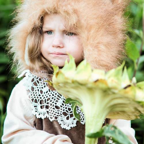 Photo #13369378