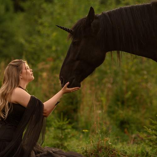 Photo #13369402